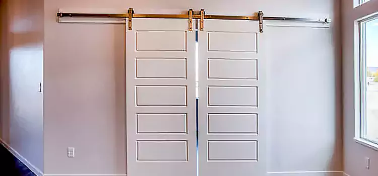 Glass Barn Door with Installation Hardware Kit Cambridge